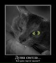Фотография Русецкой Юлии