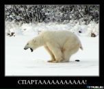 Фотография Денисенко Михаила