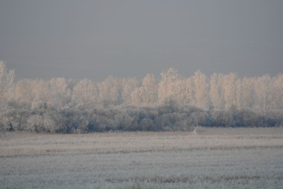 Yuri Bishaev фото №8