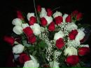 Діаночка Загородння фотография #18 (источник - https://vk.com/id162300746)