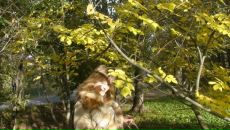 Фотография Савельевой Янины