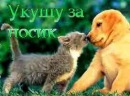 Іра Дуда фотография #19 (источник - https://vk.com/id62114756)