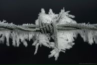 Фотография Туляковой Лилианы