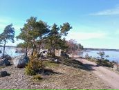 Дмитрий Крамарев фотография #48 (источник - https://vk.com/id274882)