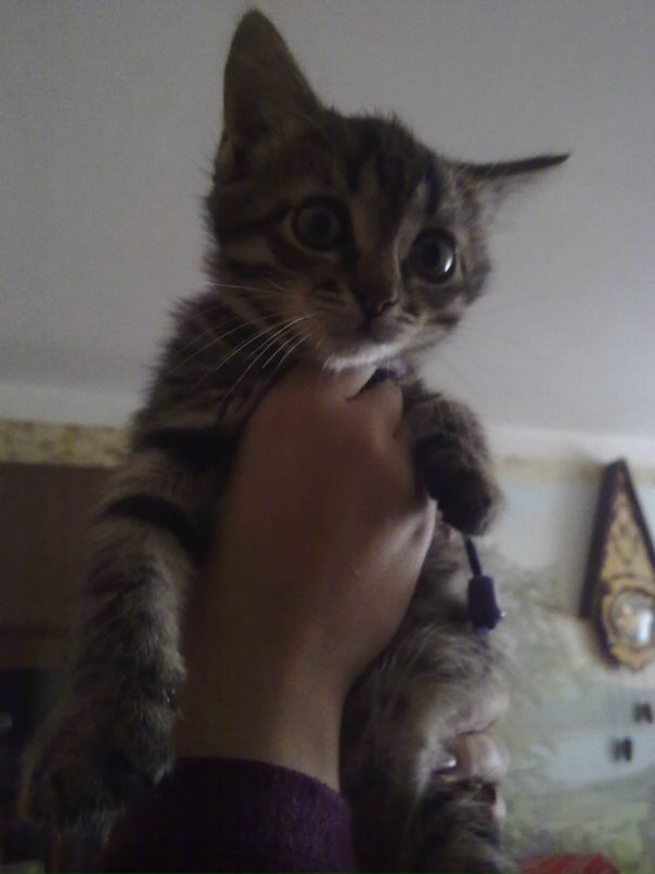 Дарья Савельева фотография #14