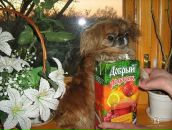 Фотография Давыдовой Ольги