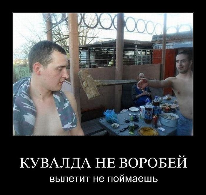 Qwesh Dv фотография #47