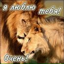 Фотография Финоженков Александр