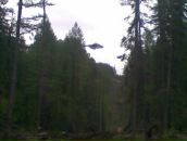 Рамиль Биккулов фотография #6 (источник - https://vk.com/id8884371)