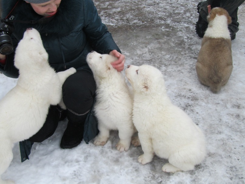 Василий Тихонов фотография #34