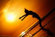 Фотография Стещенко Ирины