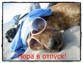 Фотография Воронина Марина