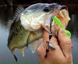 Вадім Кодьман фотография #2 (источник - https://vk.com/id96057697)