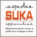 Фотография Головко Юлии