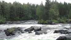 Фотография Никитиной Маргариты