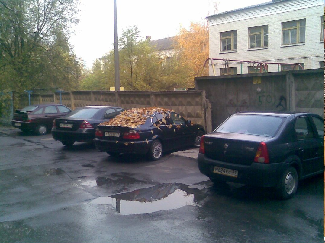 Иван Старченко фотография #30