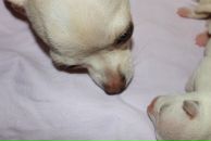 Фотография Козицыной Ольги