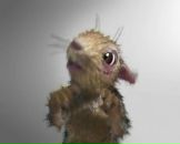 Фотография Скучилина Дениса