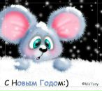 Фотография Капустянской Марии