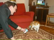 Фотография Гомонова Наталья