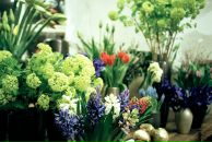 Alisa Chikipa фотография #39 (источник - https://vk.com/id5328290)