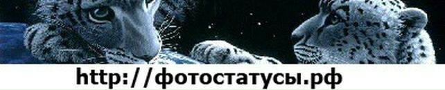 Віталій Бойко фотография #36 (источник - https://vk.com/id106733624)