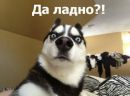 Фотография Андреевой Яны