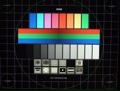 Фотография Массаж Шушары Сергея