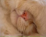 Фотография Мастерука Романа