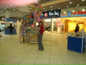 Фотография Красотиной Екатерины