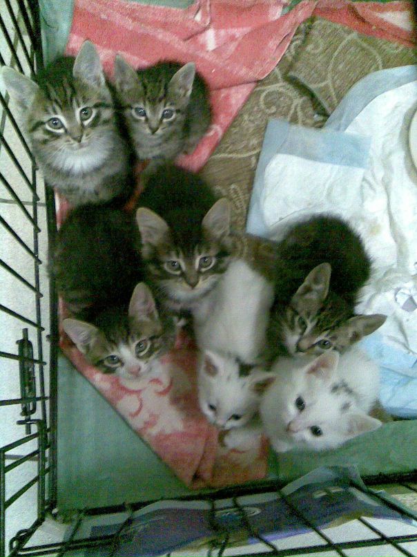 Анна Горбачева фотография #36