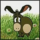 Фотография Бондаренко Анны