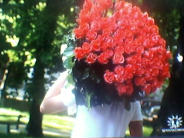 Анжелика Губарева фотография #12