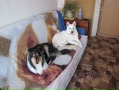 Фотография Тепановой Натальи