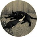 Фотография Кармоди Алисы