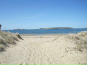 Фотография Кота Даниэля