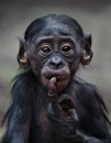 Αнтон Κоролев фотография #5 (источник - https://vk.com/id163371240)