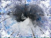 Ігор Товт фотография #26 (источник - https://vk.com/id65581695)