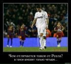 Денис Плугатырёв фотография #10 (источник - https://vk.com/id2662033)