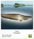 Сєрий Матвійшин фотография #36 (источник - https://vk.com/id111466338)