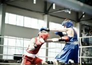 Фотография Шаповалова Александра