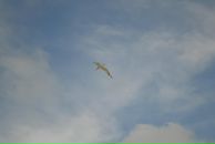 Фотография Раевой Зои