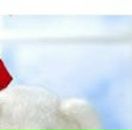 Андрій Михайлюк фотография #28 (источник - https://vk.com/id131491265)