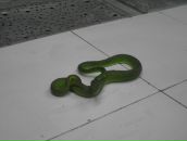 Фотография Коробковой Татьяны