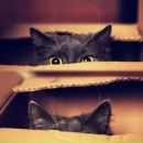 Фотография Ярошенко Варвары