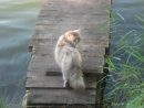 Фотография Ксенофонтовой Юлии