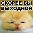 Вася Залюбівський фотография #43 (источник - https://vk.com/id63271386)