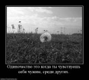 Андрій Покидюк фотография #41 (источник - https://vk.com/id41637347)