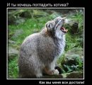 Асиф Зардари фотография #4 (источник - https://vk.com/id42724047)