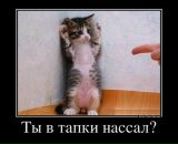 Валєрік Дмитринюк фотография #2 (источник - https://vk.com/id168677967)